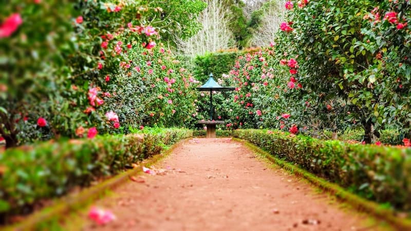Landscape Execution